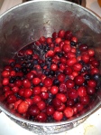 Cranberry and Blueberry Sauce