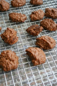Vegan and Gluten-Free Chocolate Sweet Potato Protein Cookies