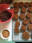 Holiday Baking Time! Vegan and Gluten-Free Chocolate Covered PB Pretzel Cookies